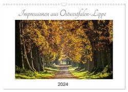 Impressionen aus Ostwestfalen-Lippe (Wandkalender 2024 DIN A3 quer), CALVENDO Monatskalender von Pohl,  Michael