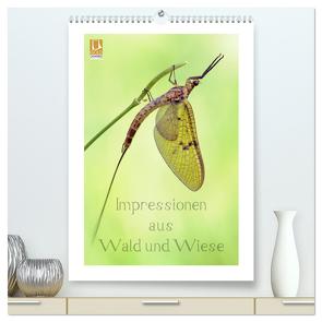 Impressionen aus Wald und Wiese (hochwertiger Premium Wandkalender 2024 DIN A2 hoch), Kunstdruck in Hochglanz von Schnepp,  Rolf