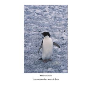 Impressionen einer Antarktis Reise von Reichardt,  Anne