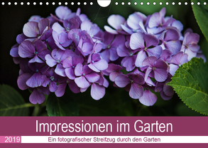 Impressionen im Garten (Wandkalender 2019 DIN A4 quer) von Verena Scholze,  Fotodesign