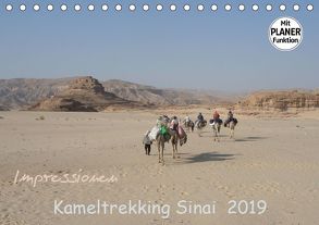 Impressionen Kameltrekking Sinai 2019 (Tischkalender 2019 DIN A5 quer) von Wesselak,  Mucki
