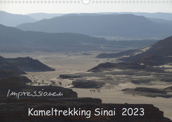 Impressionen Kameltrekking Sinai 2023 (Wandkalender 2023 DIN A3 quer) von Wesselak,  Mucki