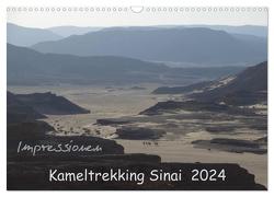 Impressionen Kameltrekking Sinai 2024 (Wandkalender 2024 DIN A3 quer), CALVENDO Monatskalender von Wesselak,  Mucki