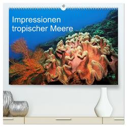 Impressionen tropischer Meere (hochwertiger Premium Wandkalender 2024 DIN A2 quer), Kunstdruck in Hochglanz von Rauchenwald,  Martin