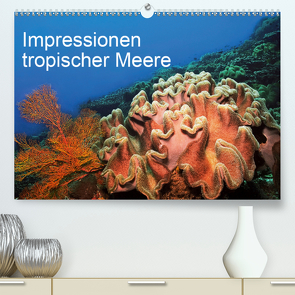 Impressionen tropischer Meere (Premium, hochwertiger DIN A2 Wandkalender 2021, Kunstdruck in Hochglanz) von Rauchenwald,  Martin