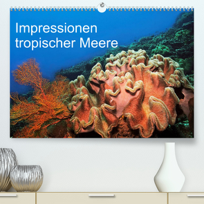Impressionen tropischer Meere (Premium, hochwertiger DIN A2 Wandkalender 2022, Kunstdruck in Hochglanz) von Rauchenwald,  Martin