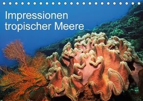 Impressionen tropischer Meere (Tischkalender 2018 DIN A5 quer) von Rauchenwald,  Martin