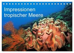 Impressionen tropischer Meere (Tischkalender 2024 DIN A5 quer), CALVENDO Monatskalender von Rauchenwald,  Martin