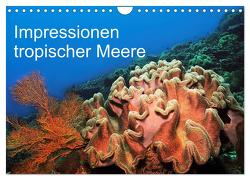 Impressionen tropischer Meere (Wandkalender 2024 DIN A4 quer), CALVENDO Monatskalender von Rauchenwald,  Martin