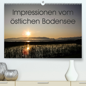 Impressionen vom östlichen Bodensee (Premium, hochwertiger DIN A2 Wandkalender 2020, Kunstdruck in Hochglanz) von Rüger,  Ute