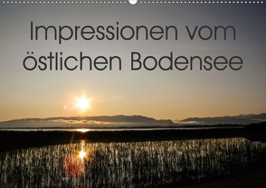 Impressionen vom östlichen Bodensee (Wandkalender 2020 DIN A2 quer) von Rüger,  Ute