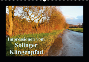 Impressionen vom Solinger Klingenpfad (Wandkalender 2021 DIN A2 quer) von Bauch,  Dorothee