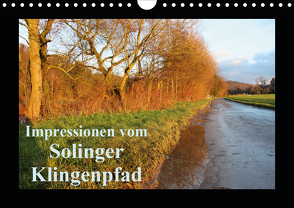 Impressionen vom Solinger Klingenpfad (Wandkalender 2021 DIN A4 quer) von Bauch,  Dorothee