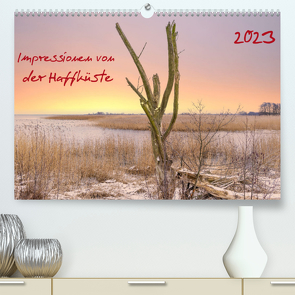 Impressionen von der Haffküste (Premium, hochwertiger DIN A2 Wandkalender 2023, Kunstdruck in Hochglanz) von Rogalski,  Solveig