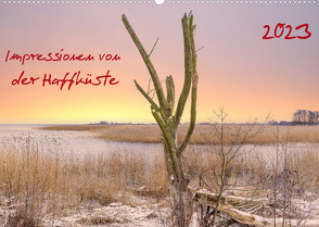 Impressionen von der Haffküste (Wandkalender 2023 DIN A2 quer) von Rogalski,  Solveig