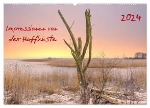 Impressionen von der Haffküste (Wandkalender 2024 DIN A2 quer), CALVENDO Monatskalender von Rogalski,  Solveig