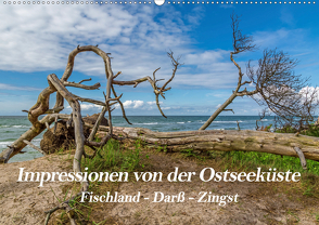 Impressionen von der Ostsee Fischland-Darß-Zingst (Wandkalender 2021 DIN A2 quer) von Thomas,  Natalja