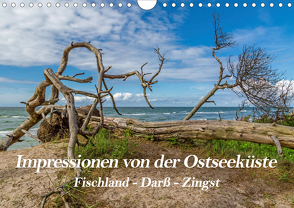 Impressionen von der Ostsee Fischland-Darß-Zingst (Wandkalender 2021 DIN A4 quer) von Thomas,  Natalja