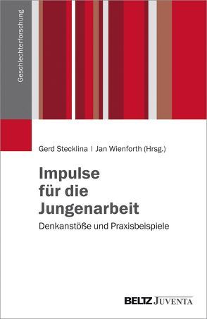 Impulse für die Jungenarbeit von Stecklina ,  Gerd, Wienforth,  Jan