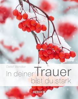 In deiner Trauer bist du stark von Lehmacher,  Georg, Lehmacher,  Renate, Wendler,  Detlef