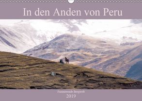 In den Anden von Peru – Fazinierende Bergwelt (Wandkalender 2019 DIN A3 quer) von Drews,  Marianne