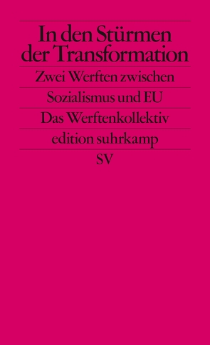 In den Stürmen der Transformation von Brunnbauer,  Ulf, Filipkowski,  Piotr, Hodges,  Andrew, Petrungaro,  Stefano, Ther,  Philipp, Wegenschimmel,  Peter