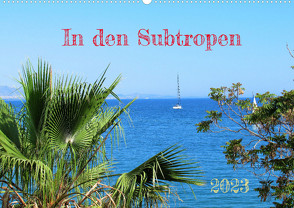 In den Subtropen (Wandkalender 2023 DIN A2 quer) von Gillner,  Martin