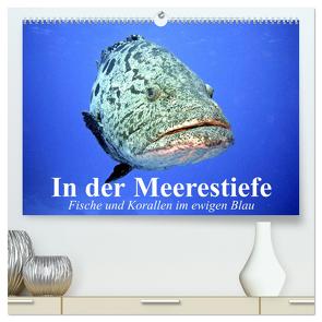 In der Meerestiefe. Fische und Korallen im ewigen Blau (hochwertiger Premium Wandkalender 2024 DIN A2 quer), Kunstdruck in Hochglanz von Stanzer,  Elisabeth