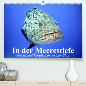 In der Meerestiefe. Fische und Korallen im ewigen Blau (Premium, hochwertiger DIN A2 Wandkalender 2023, Kunstdruck in Hochglanz) von Stanzer,  Elisabeth