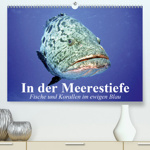 In der Meerestiefe. Fische und Korallen im ewigen Blau (Premium, hochwertiger DIN A2 Wandkalender 2020, Kunstdruck in Hochglanz) von Stanzer,  Elisabeth