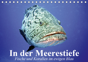 In der Meerestiefe. Fische und Korallen im ewigen Blau (Tischkalender 2021 DIN A5 quer) von Stanzer,  Elisabeth