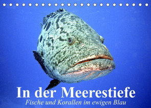 In der Meerestiefe. Fische und Korallen im ewigen Blau (Tischkalender 2023 DIN A5 quer) von Stanzer,  Elisabeth