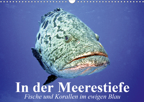 In der Meerestiefe. Fische und Korallen im ewigen Blau (Wandkalender 2021 DIN A3 quer) von Stanzer,  Elisabeth