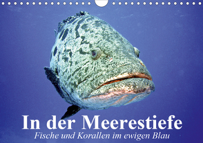 In der Meerestiefe. Fische und Korallen im ewigen Blau (Wandkalender 2021 DIN A4 quer) von Stanzer,  Elisabeth