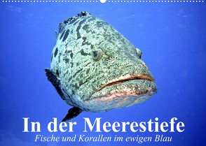 In der Meerestiefe. Fische und Korallen im ewigen Blau (Wandkalender 2023 DIN A2 quer) von Stanzer,  Elisabeth