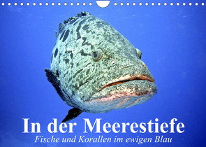 In der Meerestiefe. Fische und Korallen im ewigen Blau (Wandkalender 2023 DIN A4 quer) von Stanzer,  Elisabeth