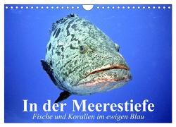 In der Meerestiefe. Fische und Korallen im ewigen Blau (Wandkalender 2024 DIN A4 quer), CALVENDO Monatskalender von Stanzer,  Elisabeth