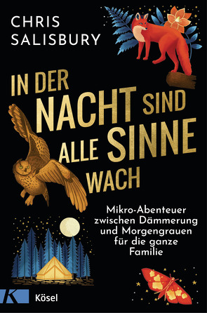 In der Nacht sind alle Sinne wach von Kretschmer,  Ulrike, Salisbury,  Chris