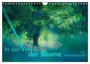 In der Welt der Bäume (Wandkalender 2024 DIN A4 quer), CALVENDO Monatskalender von Odermatt,  Heike