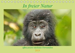 In freier Natur Affen, unsere nächsten Verwandten (Tischkalender 2019 DIN A5 quer) von Kärcher,  Britta