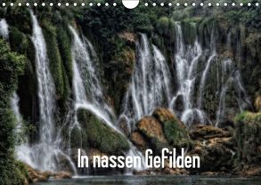 In nassen Gefilden (Wandkalender 2019 DIN A4 quer) von Dolibois,  René