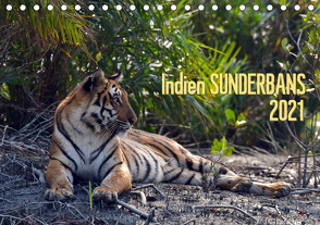 Indien Sunderbans (Tischkalender 2021 DIN A5 quer) von Bergermann,  Manfred
