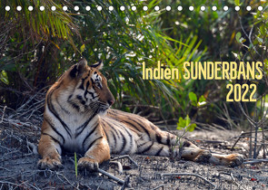 Indien Sunderbans (Tischkalender 2022 DIN A5 quer) von Bergermann,  Manfred