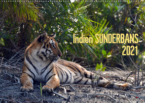 Indien Sunderbans (Wandkalender 2021 DIN A2 quer) von Bergermann,  Manfred