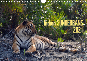 Indien Sunderbans (Wandkalender 2021 DIN A4 quer) von Bergermann,  Manfred