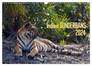 Indien Sunderbans (Wandkalender 2024 DIN A3 quer), CALVENDO Monatskalender von Bergermann,  Manfred
