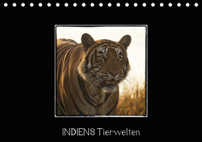 Indiens Tierwelten (Tischkalender 2020 DIN A5 quer) von www.WeltWeitBilder.de
