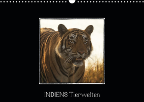 Indiens Tierwelten (Wandkalender 2020 DIN A3 quer) von www.WeltWeitBilder.de