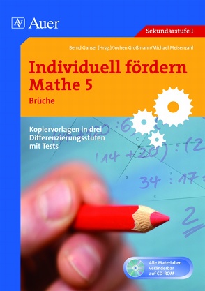 Individuell fördern Mathe 5 Brüche von Ganser,  Bernd, Großmann, Meisenzahl