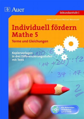Individuell fördern Mathe 5, Terme & Gleichungen von Großmann,  Jochen, Meisenzahl,  Michael